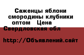 Саженцы яблони,смородины,клубники оптом › Цена ­ 130 - Свердловская обл.  »    